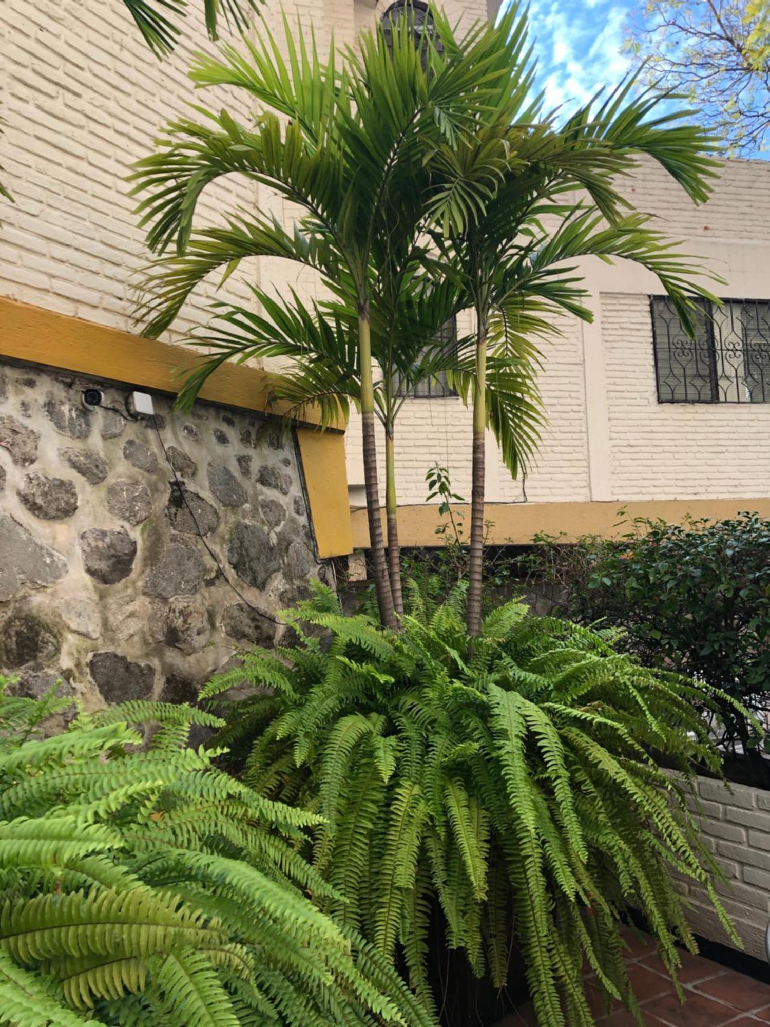 伊勒贝尔酒店 库埃纳瓦卡 外观 照片